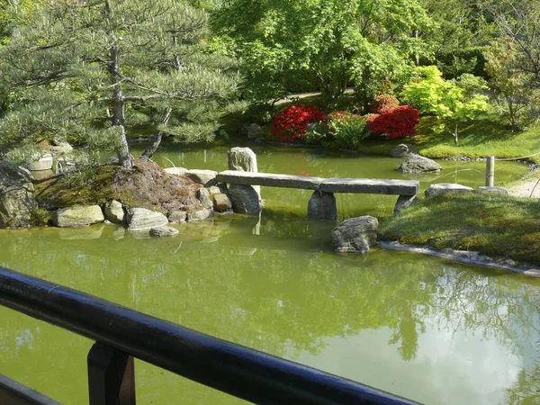 Estanque Jardín Bonsái Japonés Schwilowsee Ferch Brandeburgo — Foto de Stock