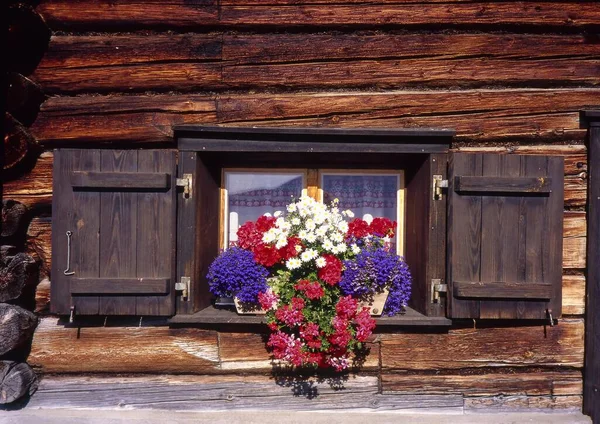Fereastră Flori Casă Din Așezarea Walser Din Medergen Alpii Plessur — Fotografie, imagine de stoc
