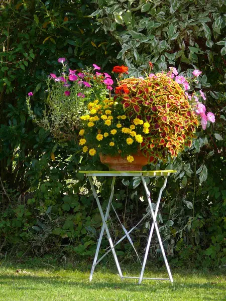 花の鍋が付いている庭のテーブル — ストック写真