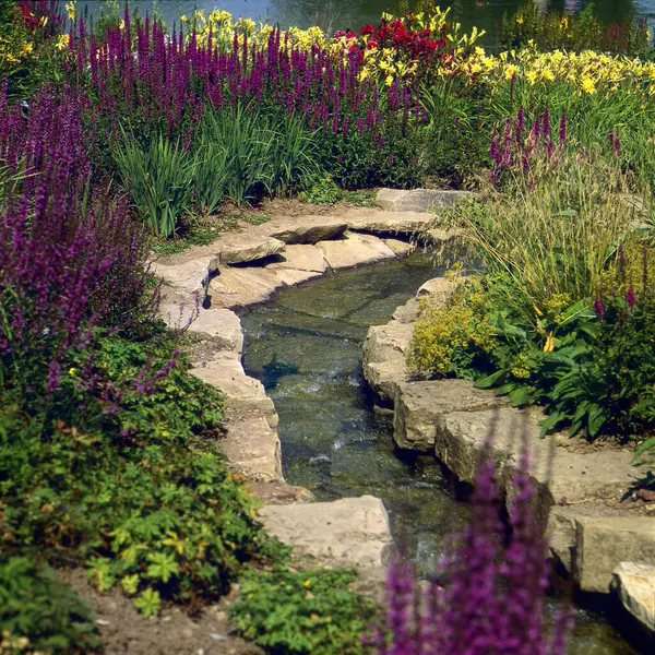 Water Garden Stream Garden — Stock Photo, Image