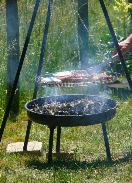 在花园里用木炭烤肉 — 图库照片