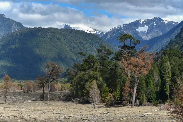 Destroyed forest by a landslide in Villa Santa Luca, at Chaiten, Rio Burritos, Carretera Austral, Patagonia, Chile, South America