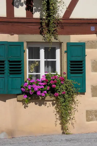 Flowers Window — Stock Photo, Image