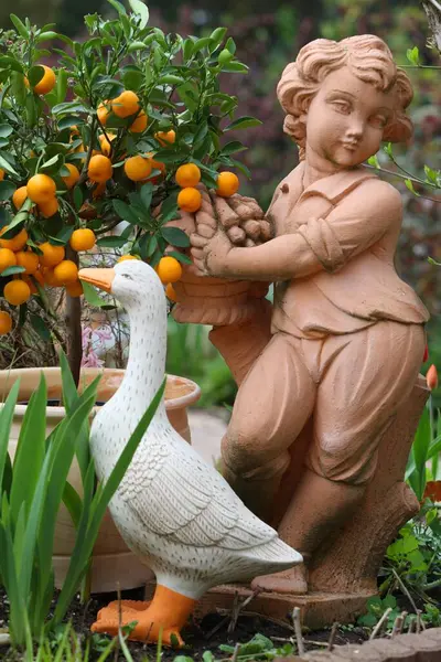 Dwarf Oranges Garden Garden Figure — Stock Photo, Image