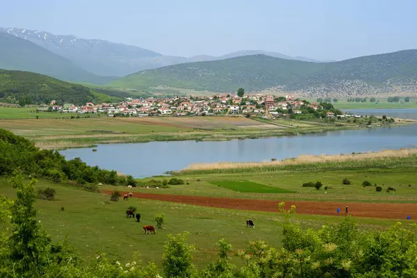 Dolna Gorica Vid Prespasjön Nationalpark Prespa Albanien Europa — Stockfoto