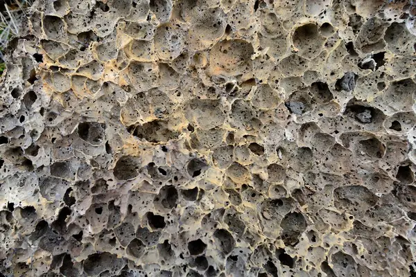 Острый Камень Лавы Деталь Национальный Парк Пали Айке Магальянес Прованс — стоковое фото