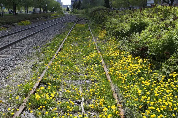 Railway Track Montreal Quebec Province Canada North America — Stock Photo, Image