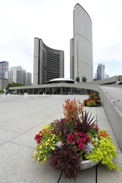 New City Hall Nathan Philips Square Toronto Província Ontário Canadá — Fotografia de Stock