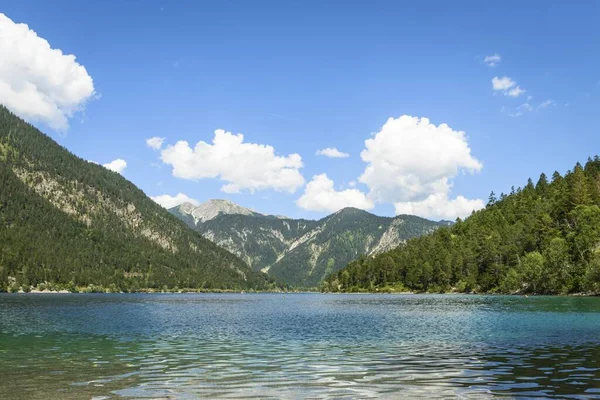 Jezero Plansee Pohled Pobřeží Horská Krajina Horské Jezero Horská Krajina — Stock fotografie