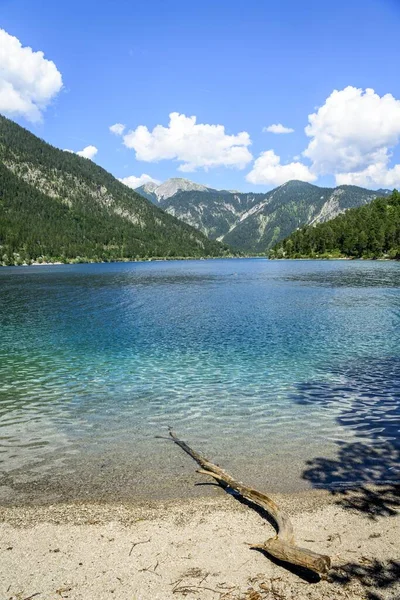 岸上的废弃木材 普朗西湖 绿松石水 山水景观 蒂罗利阿尔卑斯山 奥地利蒂罗尔 — 图库照片