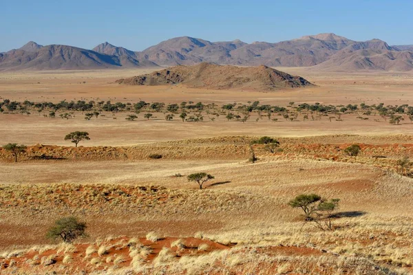 Prados Secos Frente Cumes Parque Gondwana Namib Perto Sesriem Região — Fotografia de Stock