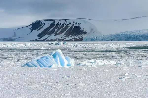 Palanderbukta Icecap Pack Ice Gustav Adolf Land Nordaustlandet Αρχιπέλαγος Svalbard — Φωτογραφία Αρχείου