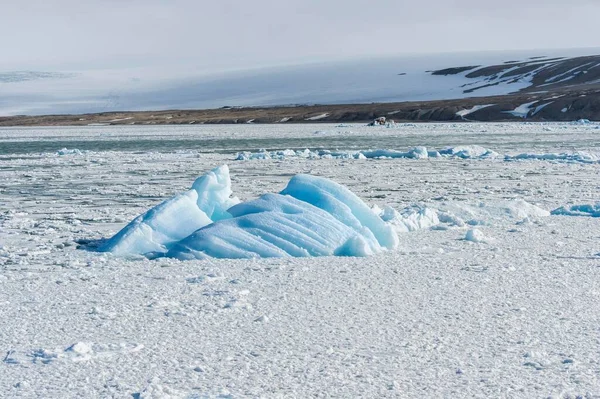 Palanderbukta Icecap Pack Ice Gustav Adolf Land Nordaustlandet Souostroví Svalbard — Stock fotografie