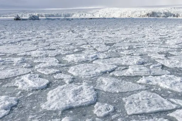 Palanderbukta Bay Pack Ice Pattern Gustav Adolf Land Nordaustlandet Svalbard — Stock Photo, Image