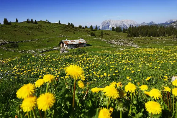 Cabaña Montaña Eggenalm Fondo Wilde Kaiser Tirol Austria Reit Winkl —  Fotos de Stock