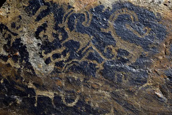 Petroglyph Snow Leopards Panthera Uncia Siberian Ibex Capra Sibirica 2500 — Stock Photo, Image