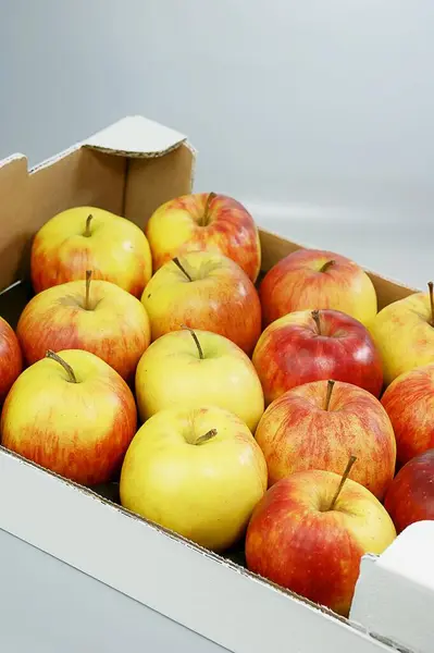 Organic Apples Jonagold Close — Stock Photo, Image