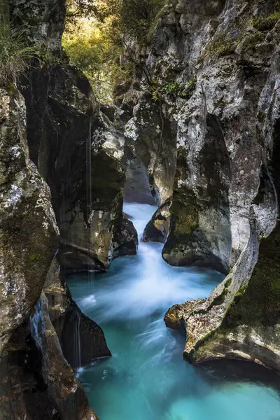 River Soca Flows Narrow Canyon Soca Valley Triglav National Park — Stock Photo, Image