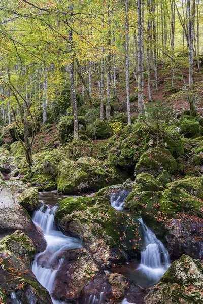 Watercourse Autumnal Lepenjica Soca Valley Bovec Triglav National Park Slovenia — Stock Photo, Image