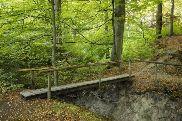 Wooden Bridge Ditch Deciduous Forest Sauerland North Rhine Westphalia Germany — Stock Photo, Image