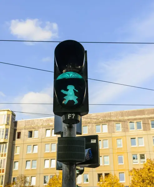 Traffic Light Pedestrian Traffic Light Traffic Light Green Traffic Light — Stock Photo, Image