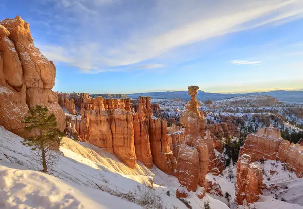 Rock formation Thors Hammer, morning light, bizarre snowy rock landscape with Hoodoos in winter, Navajo Loop Trail, Bryce Canyon National Park, Utah, USA, North America