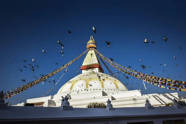 Boudhanath Stupa Aux Oiseaux Boudha Bouddhisme Tibétain Katmandou Népal Asie — Photo