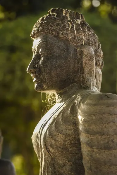 Head Buddha Statue Lumbini Nepal Asia — Stock Photo, Image