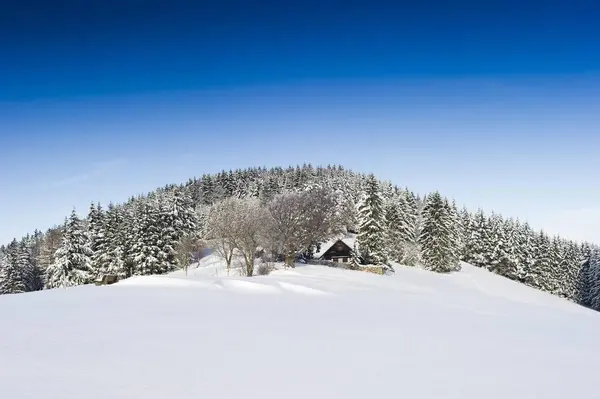 Sněhem Pokryté Jedle Chata Jižním Pohoří Černého Lesa — Stock fotografie