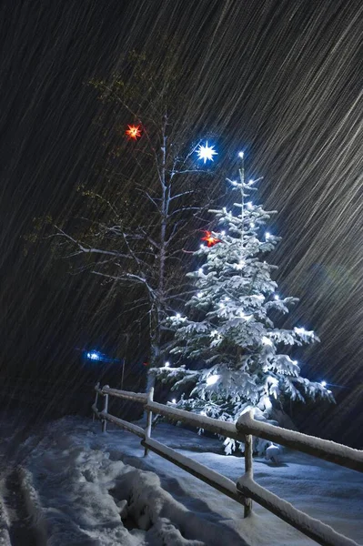 Illuminated Christmas Tree Snow Germany Europe — Stock Photo, Image