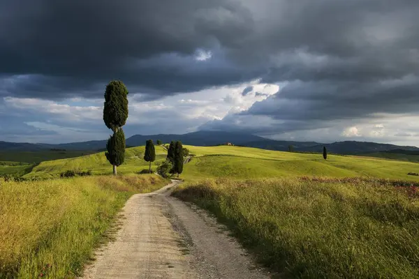 Ландшафт Сельской Дорогой Недалеко Пьяцца Валь Орча Провинция Сиена Тоскана — стоковое фото