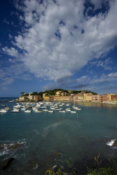 Bahía Baia Del Silenzio Sestri Levante Provincia Génova Liguria Italia — Foto de Stock