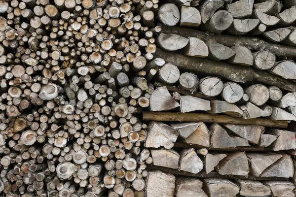 Stacked Firewood Close View — Stock Photo, Image
