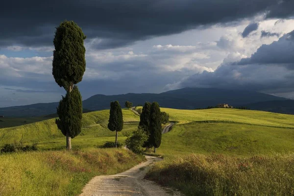 Ландшафтная Дорога Недалеко Пьяцца Валь Орча Провинция Сиена Тоскана Италия — стоковое фото