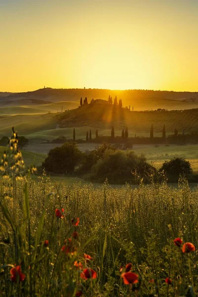 Tuscany Landscape Cypresses Farmstead Sunrise San Quirico Orcia Val Orcia — Stock Photo, Image