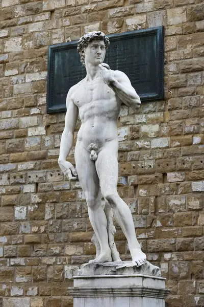 Statue Marbre David Michel Ange Devant Palazzo Vecchio Piazza Della — Photo