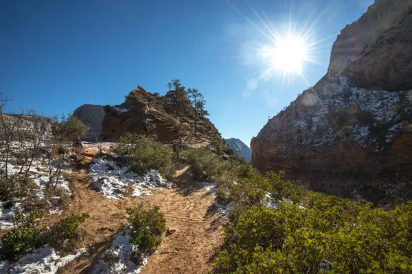Trilha Caminhada Angels Landing Trail Zion Canyon Mountain Landscape Zion — Fotografia de Stock