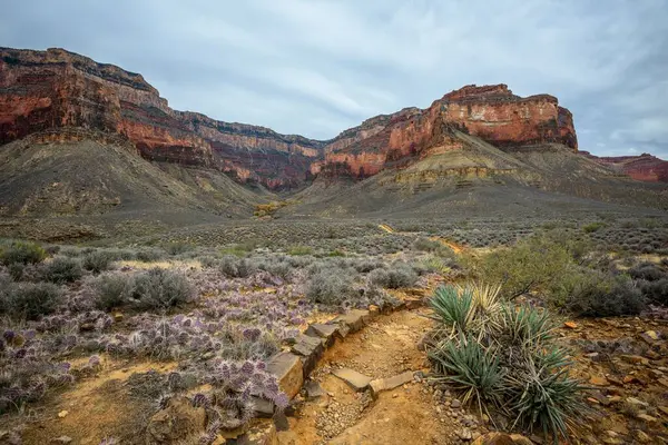 View Plateau Point Trail Canyon Grand Canyon South Rim Hiking — Stock Photo, Image