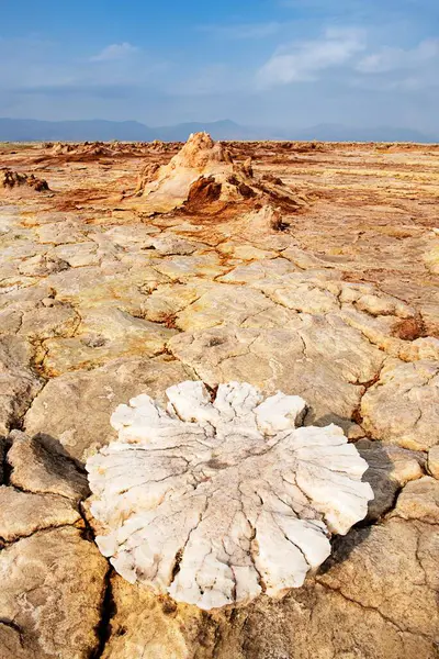 Geothermal Area Dallol Sulphur Deposits Huge Salt Efflorescence Salt Crystals — Stock Photo, Image