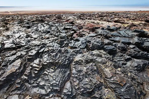 Petrified Salt Crust Karumsee Danakil Valley — Stock Photo, Image