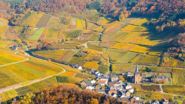 Vineyards in autumn, Mayschoss, Ahr valley wine region, Eifel, Rhineland-Palatinate, Germany, Europe clipart