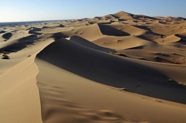 Desert, sand dune of Erg Chebbi, Morocco, Africa clipart