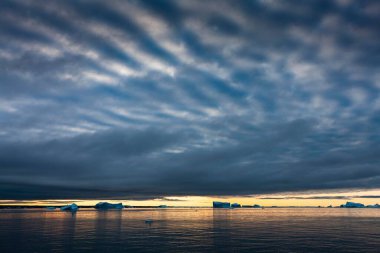 Icebergs at sunrise in the Arctic Sea, Scoresbysund, East Greenland clipart