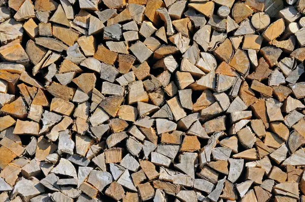 Logs Firewood Germany Europe — Stock Photo, Image