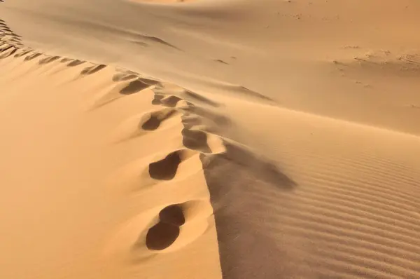 Footprints Sand Dune Desert Erg Chebbi Morocco Africa Publicground Africa Stock Image