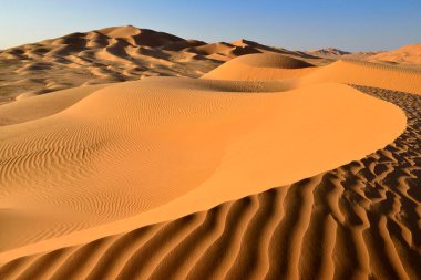 Sanddunes in the Rub al Khali desert, Ramlat al Fassad, Empty Quarter, Dhofar, Oman, Asia clipart