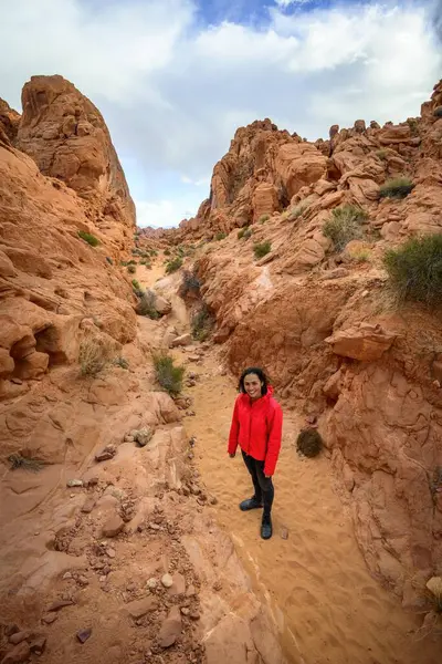 レインボービスタトレイル 赤い砂岩 モハベ砂漠 砂岩形成 消防公園の谷 ネバダ州立公園 北米の女性ハイカー ストック画像