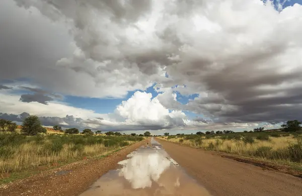 Puddles Road Cumulus Awan Kalahari Desert Rainy Season Kalahari Desert Stok Foto Bebas Royalti