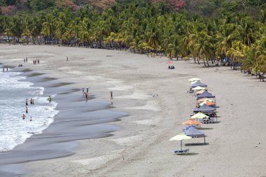 Sandy beach with palm trees, Playa Carrillo, Samara, Nicoya Peninsula, Guanacaste Province, Costa Rica, Central America clipart
