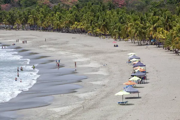 stock image Sandy beach with palm trees, Playa Carrillo, Samara, Nicoya Peninsula, Guanacaste Province, Costa Rica, Central America